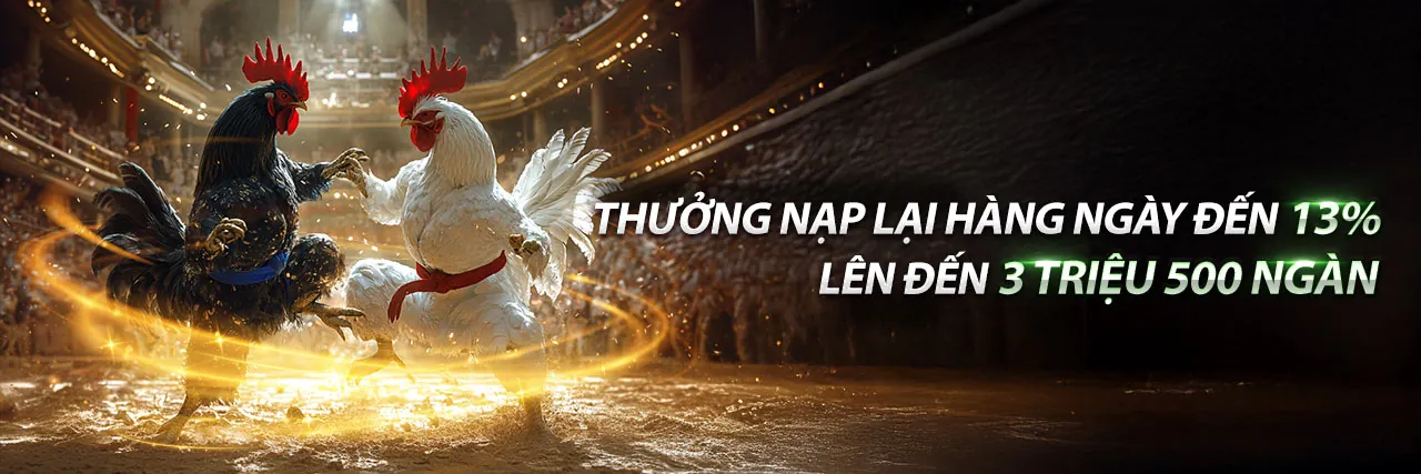 Đá gà NOHU90 với luật chơi và câu hỏi thường gặp